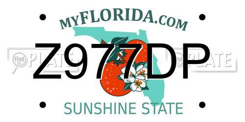 Z977DP Florida License Plate