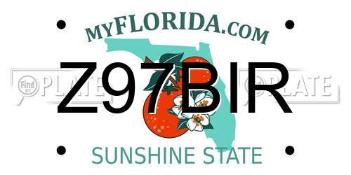 Z97BIR Florida License Plate