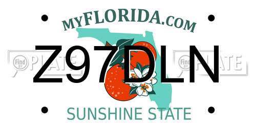 Z97DLN Florida License Plate
