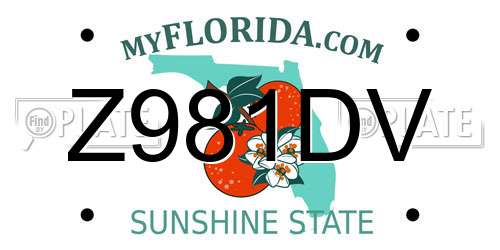 Z981DV Florida License Plate