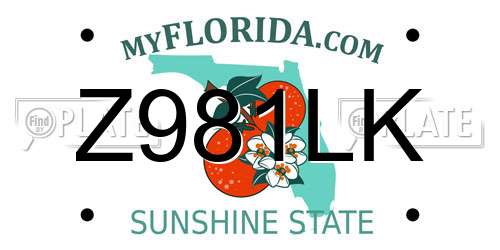 Z981LK Florida License Plate