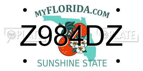 Z984DZ Florida License Plate