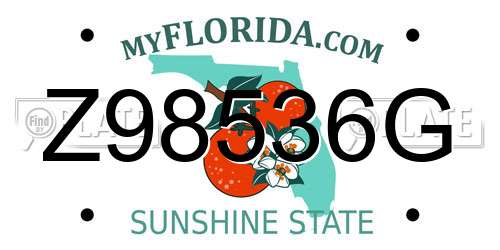 Z98536G Florida License Plate