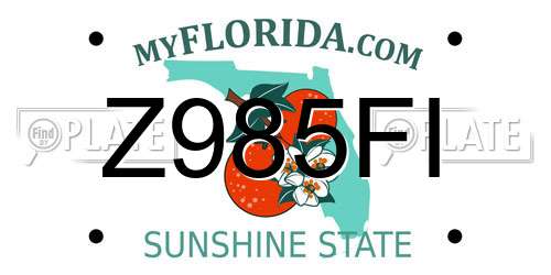 Z985FI Florida License Plate