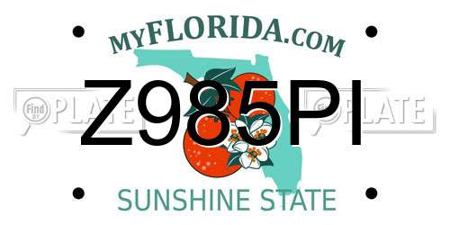 Z985PI Florida License Plate