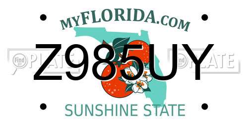 Z985UY Florida License Plate