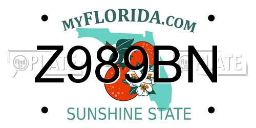 Z989BN Florida License Plate