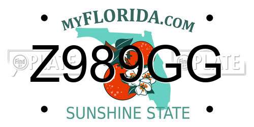 Z989GG Florida License Plate
