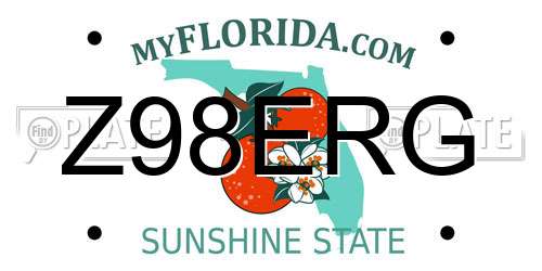Z98ERG Florida License Plate