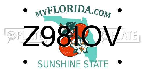 Z98IOV Florida License Plate