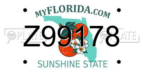 Z99178 Florida License Plate