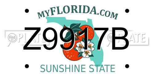 Z9917B Florida License Plate