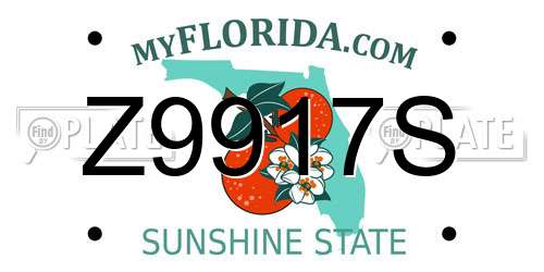 Z9917S Florida License Plate