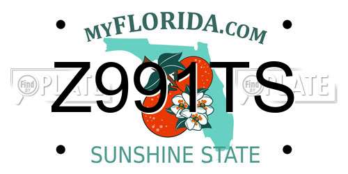 Z991TS Florida License Plate