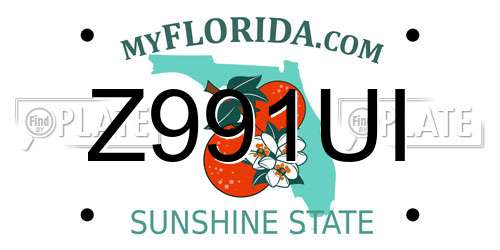 Z991UI Florida License Plate