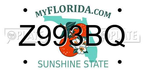 Z993BQ Florida License Plate