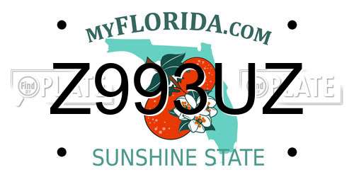 Z993UZ Florida License Plate