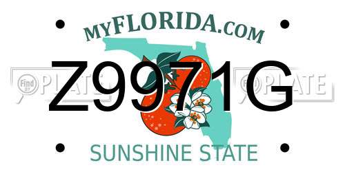 Z9971G Florida License Plate