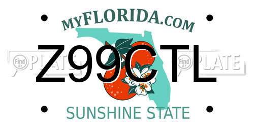 Z99CTL Florida License Plate