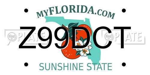 Z99DCT Florida License Plate