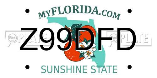 Z99DFD Florida License Plate
