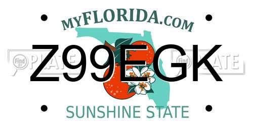 Z99EGK Florida License Plate