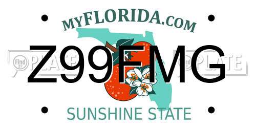 Z99FMG Florida License Plate