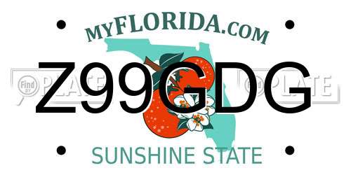 Z99GDG Florida License Plate