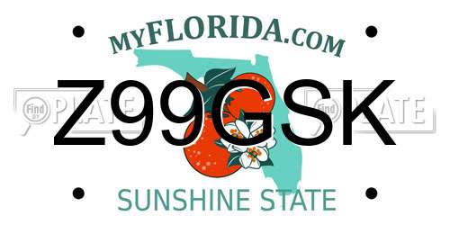 Z99GSK Florida License Plate