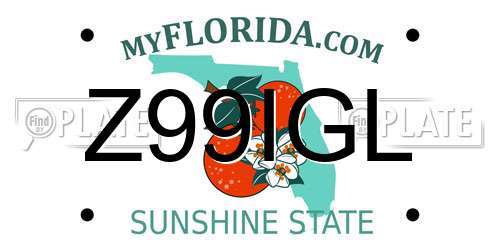 Z99IGL Florida License Plate