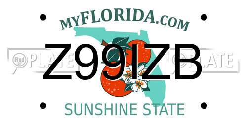 Z99IZB Florida License Plate