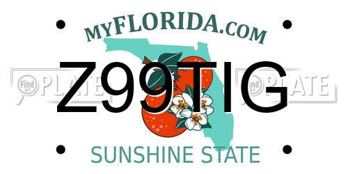 Z99TIG Florida License Plate