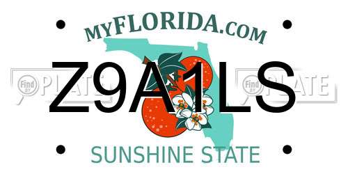 Z9A1LS Florida License Plate