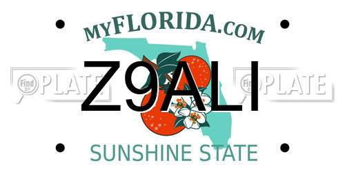 Z9ALI Florida License Plate