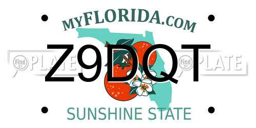 Z9DQT Florida License Plate