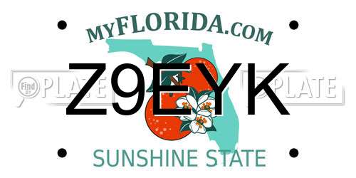 Z9EYK Florida License Plate