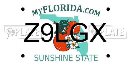 Z9LGX Florida License Plate