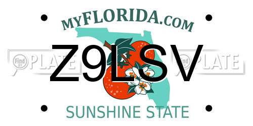 Z9LSV Florida License Plate