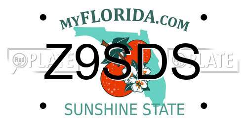 Z9SDS Florida License Plate