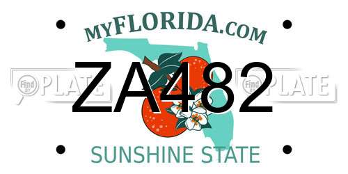 ZA482 Florida License Plate