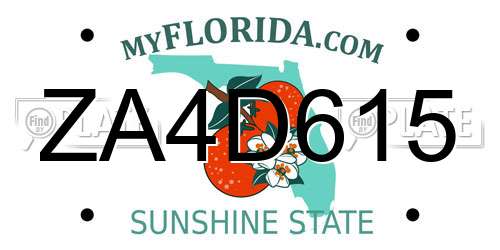 ZA4D615 Florida License Plate