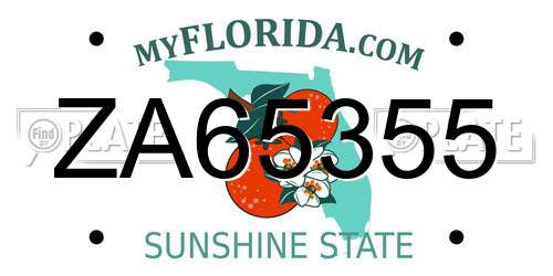ZA65355 Florida License Plate