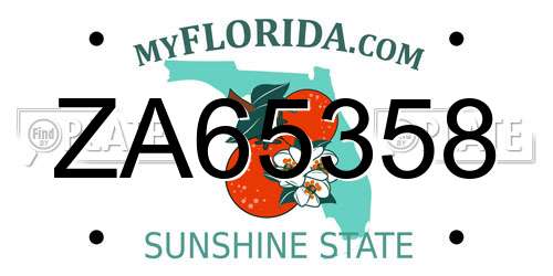 ZA65358 Florida License Plate