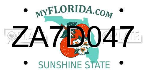 ZA7D047 Florida License Plate