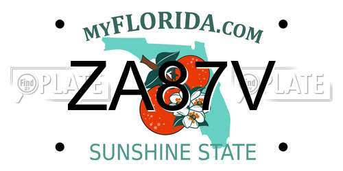 ZA87V Florida License Plate