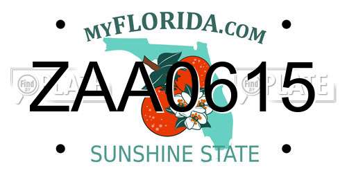 ZAA0615 Florida License Plate