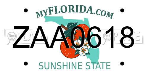 ZAA0618 Florida License Plate