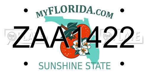 ZAA1422 Florida License Plate