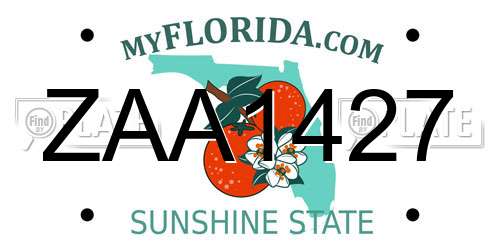 ZAA1427 Florida License Plate