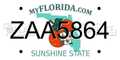 ZAA5864 Florida License Plate